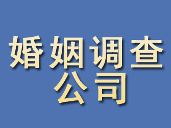 郏县婚姻调查公司