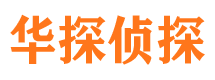 郏县市调查公司